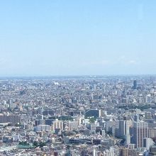 ずっと向こうに埼玉スタジアムが見えます