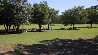 遊びきれない！