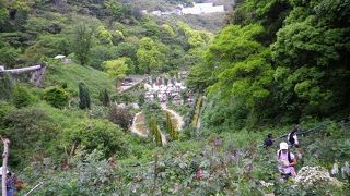 ガーデンという名の山でした。