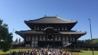 周りはしかがいっぱい