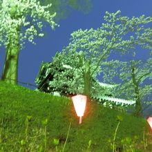 夜桜に浮き上がる三重櫓。