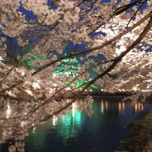 夜桜の隙間から見える三重櫓。