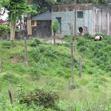 広いエリア（白熊坪）