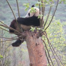 座って周囲の山々を見ています