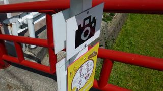 真っ赤な橋です