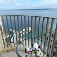 素晴らしい眺望でした〜！