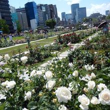 ビルに挟まれていますが静かですよ