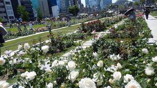都心の薔薇園で癒される