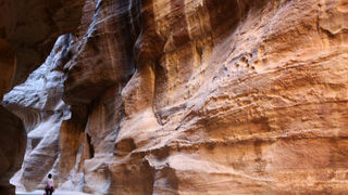 ネコがいっぱいいて、ネコ好きには嬉しい遺跡