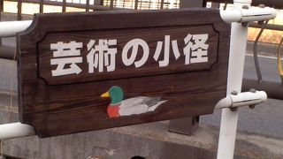 春は桜がきれいです