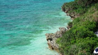 瀬底大橋付近のみでいいです