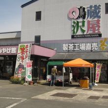 お茶摘み体験もできます