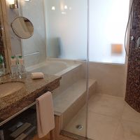 シャワーとバスタブが一応別になっている