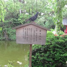 境内の神池と厳島神社