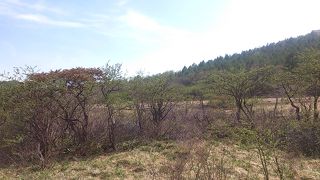 湿原からの見えるまわりの風景は絶景です！！