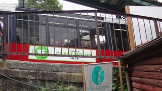 現在は火山活動の影響で行くことが出来るのはケーブルカーの終点です。