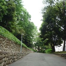 入口から続く坂道