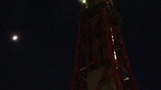 遠くからも目立つ