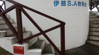 金武湾を一望できます