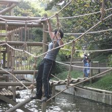大人でも水辺の上は迫力満点