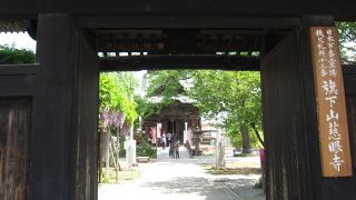 目にご利益があるといわれています