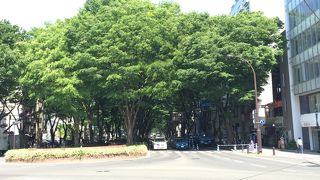 真夏日に日陰の癒し