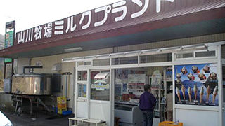 仔牛がかわいい