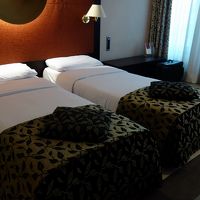 ベッドが小さくて落ちそうでした。