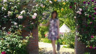 アカオハーブ＆ローズガーデンは、今が最高です(^_-)-☆