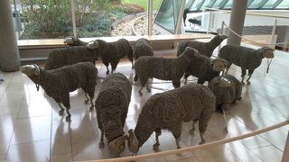 フランクフルトでアンペルマングッズをgetするならこちらへ！