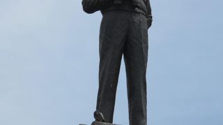 鳩が次から次へととまってました