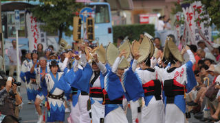 北浦和阿波おどり大会