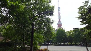 都会の中の公園