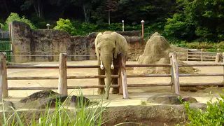 想像以上に広かった