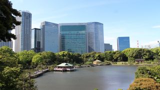 自然学習もできる都立公園