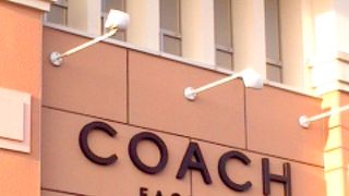 財布を見に行ってきました