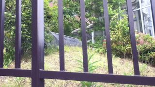 駅出口の屋根の上にある