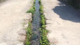 中央に水路がある武家屋敷