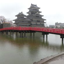 埋の橋を撮し込んだ天守閣の姿は美しい。