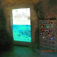水族館？