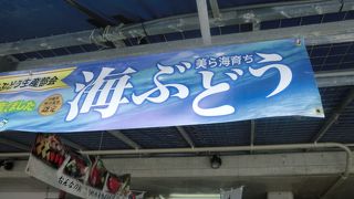 魚を使った品がたくさんあります