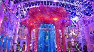 （澳門）すごく綺麗～