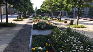 みなとみらいの都市公園