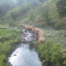 近くを流れるペオッペ川の景観