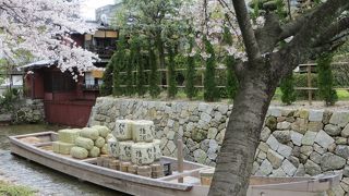 高瀬川一之船入も桜が満開。