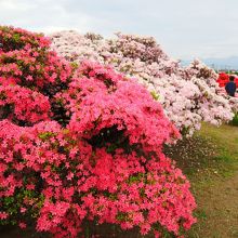 前橋市水道資料館