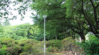 鴻巣の桜の名所の公園