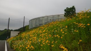 ”ゆらら”は、水中歩行とジェットバス、小さなお子様用のプール。