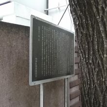 説明板は恥ずかしいのか柳の木に隠れています