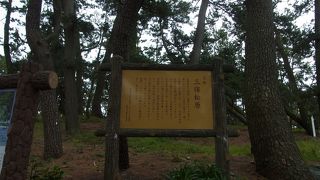 三保松原、残念